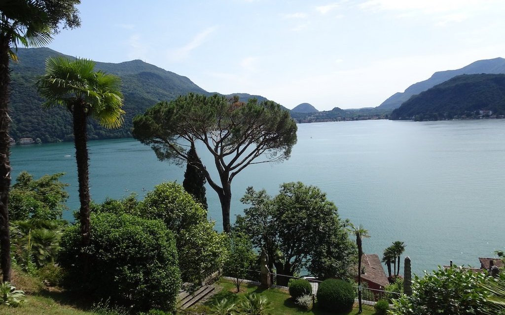 Bei diesem harmonischen Anblick schweifen die Gedanken in alle Richtungen. 