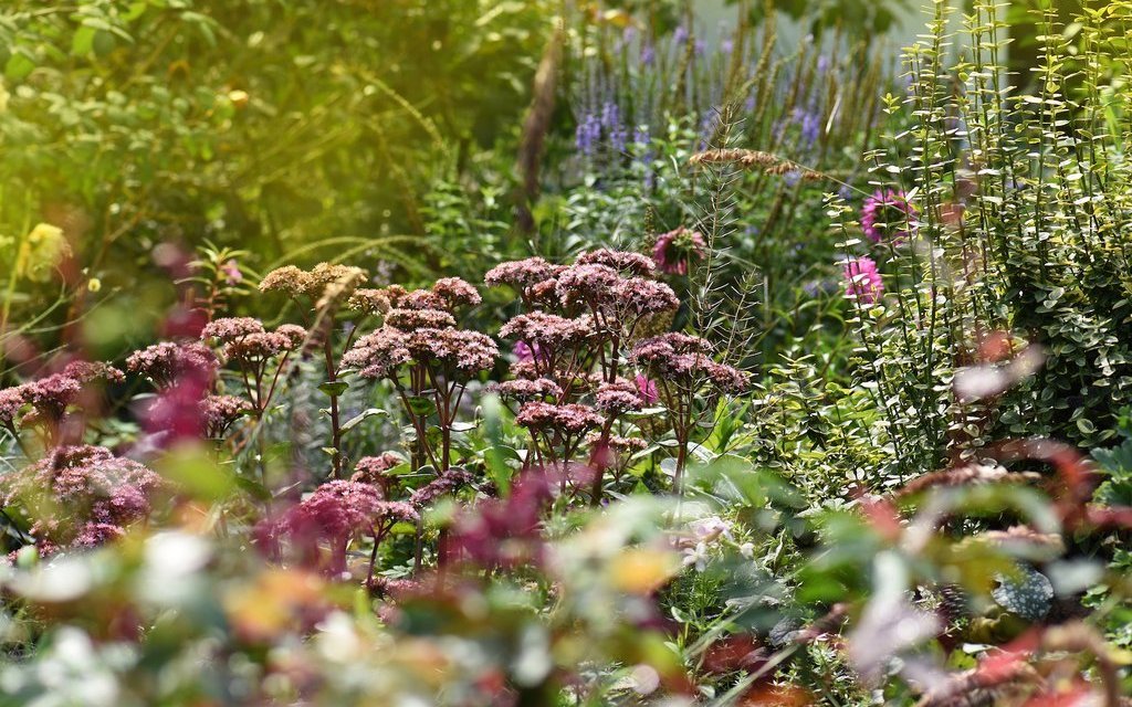 Auch im Herbst kann ein Garten bezaubern und gibt einiges an Arbeit zu tun.