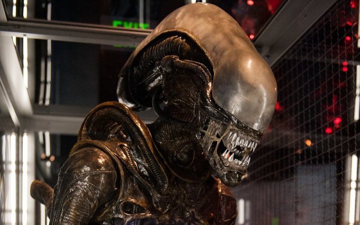 Diese aussergewöhnlichen Museen in der Schweiz bieten spannende Einblicke in Kunst, Geschichte, Technik und kuriose Sammlungen.