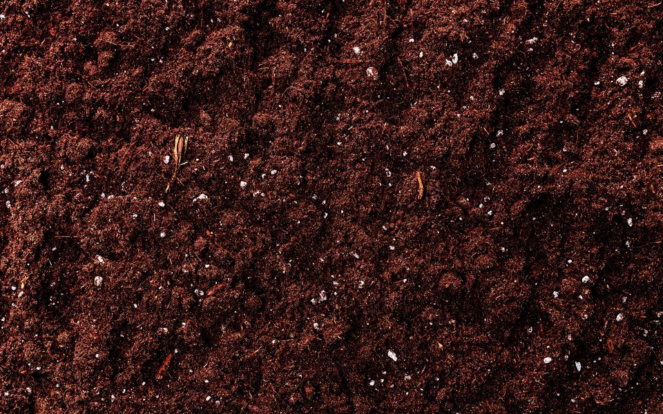 Im dritten Schritt kommt die Blumenerde in das Glas.