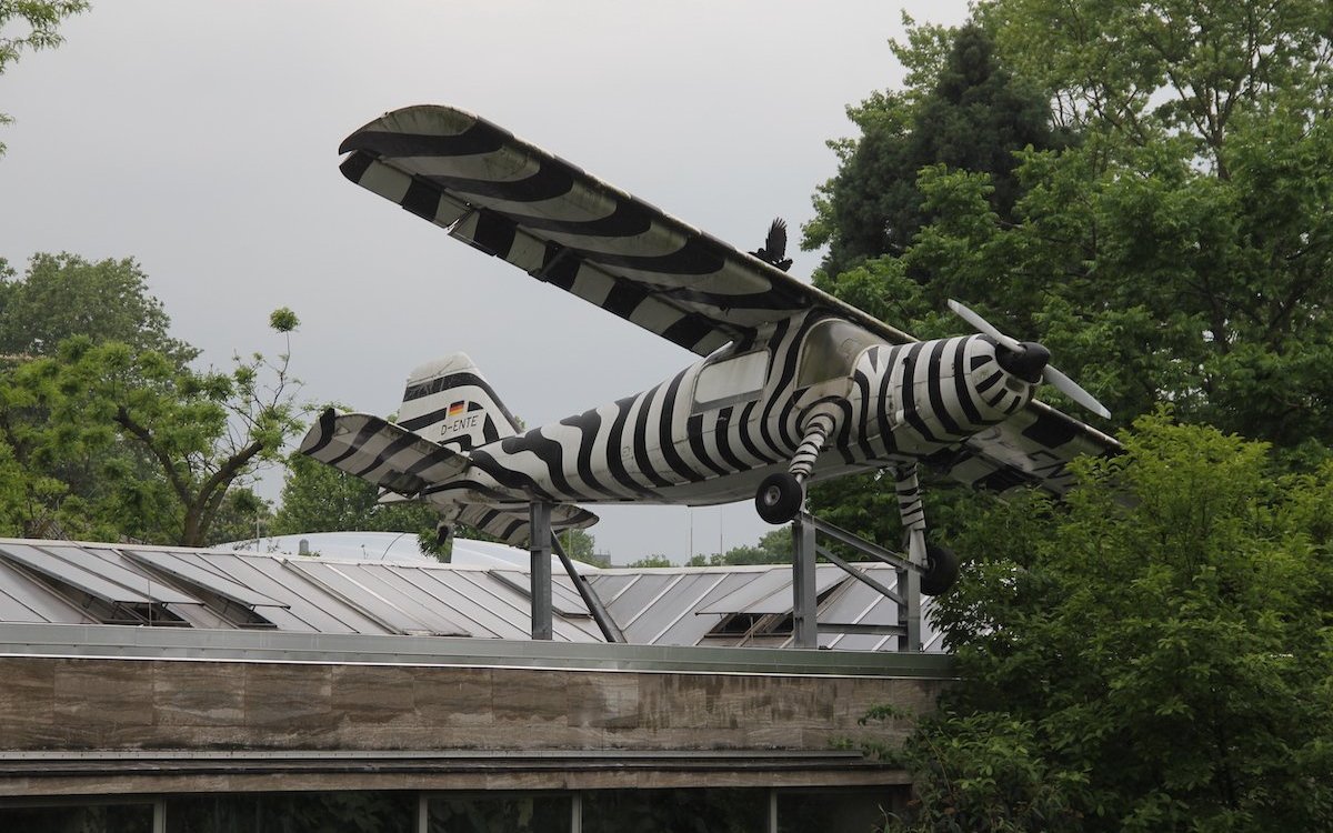 Eine Ausstellung mitten im Frankfurter Zoo erinnert an Professor Dr. Dr. Bernhard Grzimek und seinen Einsatz für den Schutz der Serengeti in Ostafrika. 