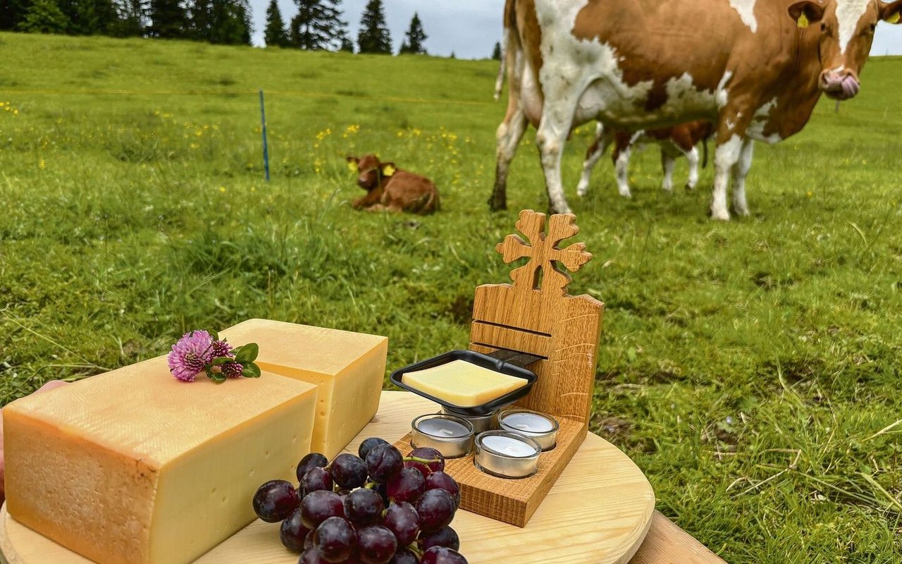 Nach dem MuKa-Prinzip bleiben Kälber mindestens vier Monate bei ihren Müttern.
