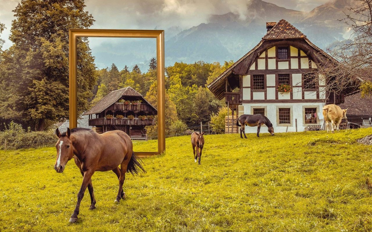  Das Freilichtmuseum Ballenberg gibt einen  Einblick in vergangene Zeiten. 