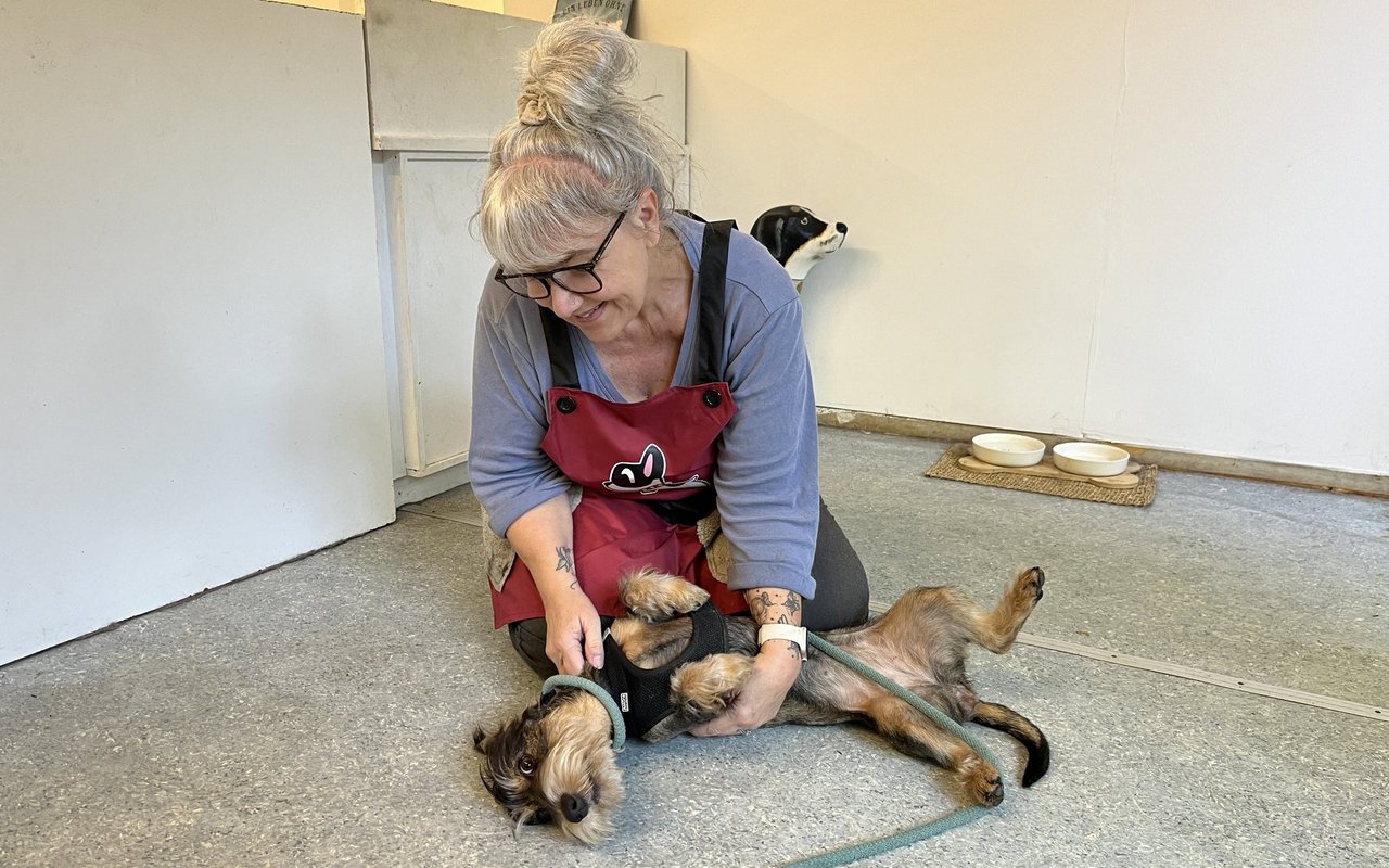 Das Vertrauen zwischen Kundin und Coiffeuse Martina Kleeb scheint gross.