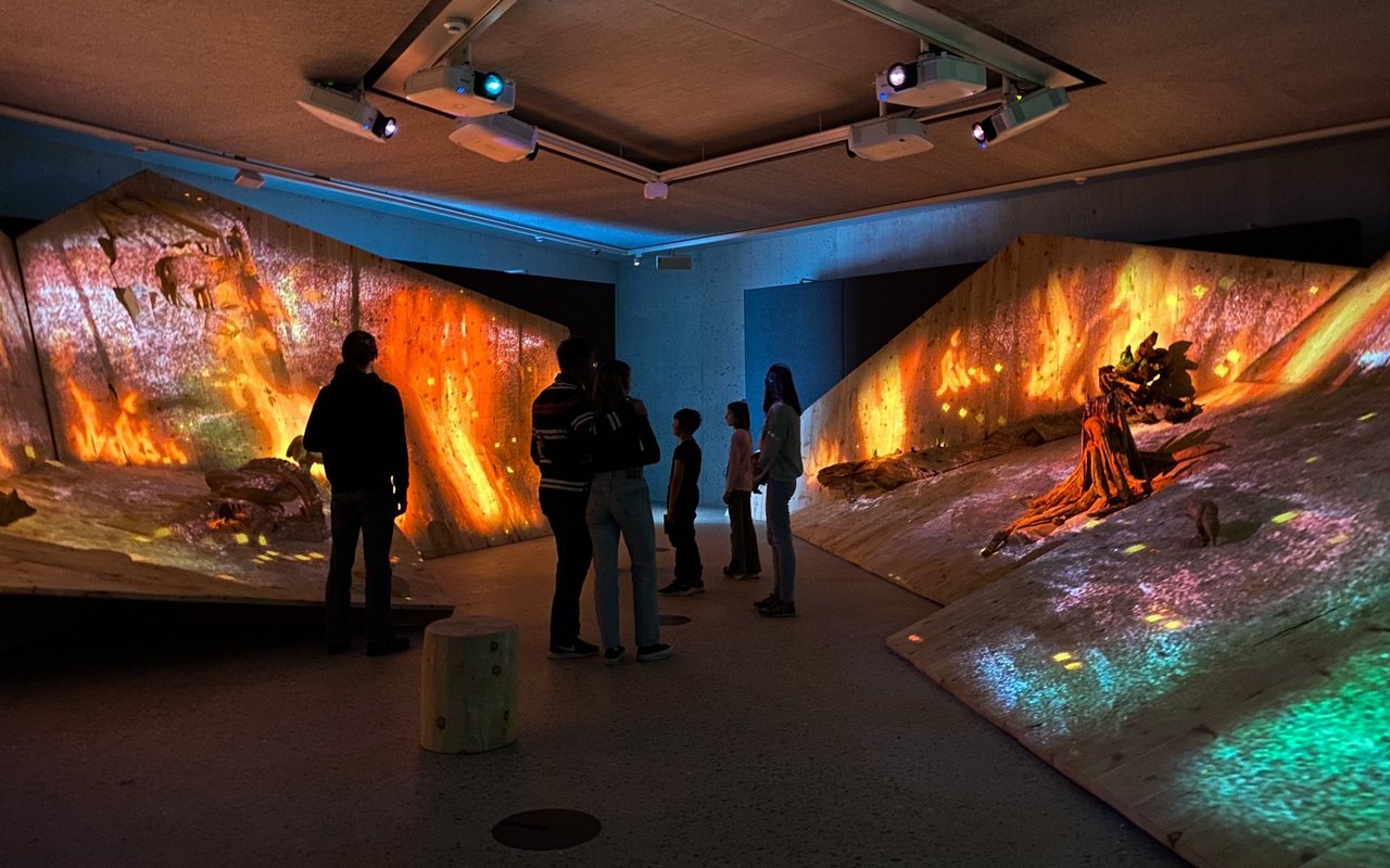  Was passiert, wenn im Nationalpark der Blitz einschlägt?