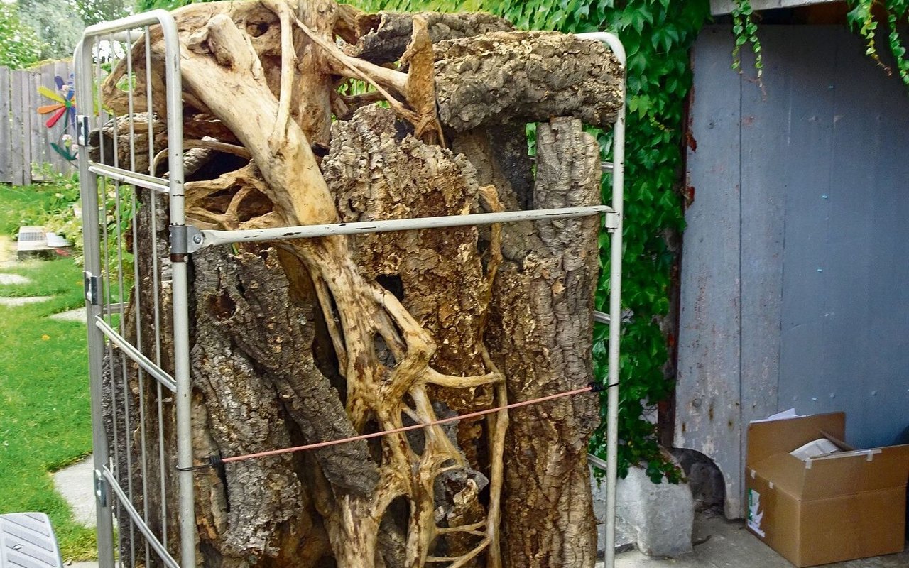 Wurzeln im Lager von Ralf Wirtensohn. 