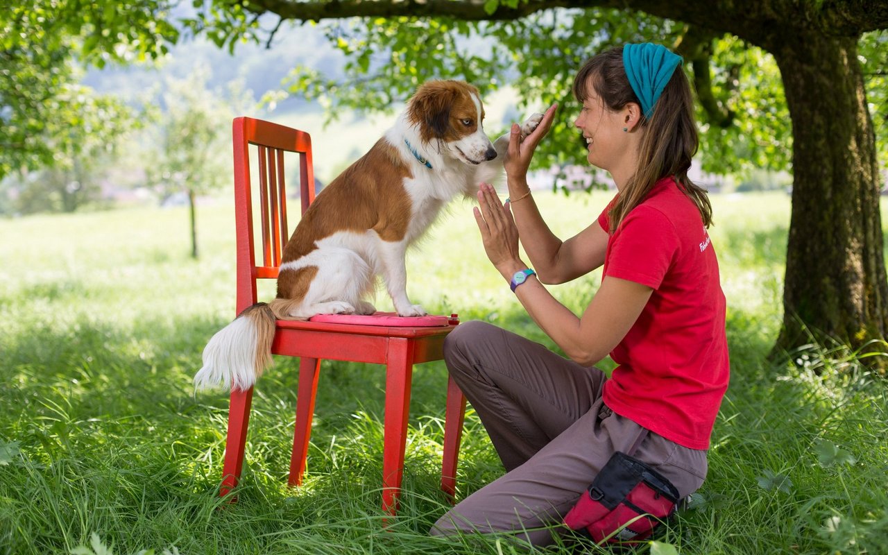 Die Interaktion mit Schauspielern ist eine Kernaufgabe von Filmhunden.