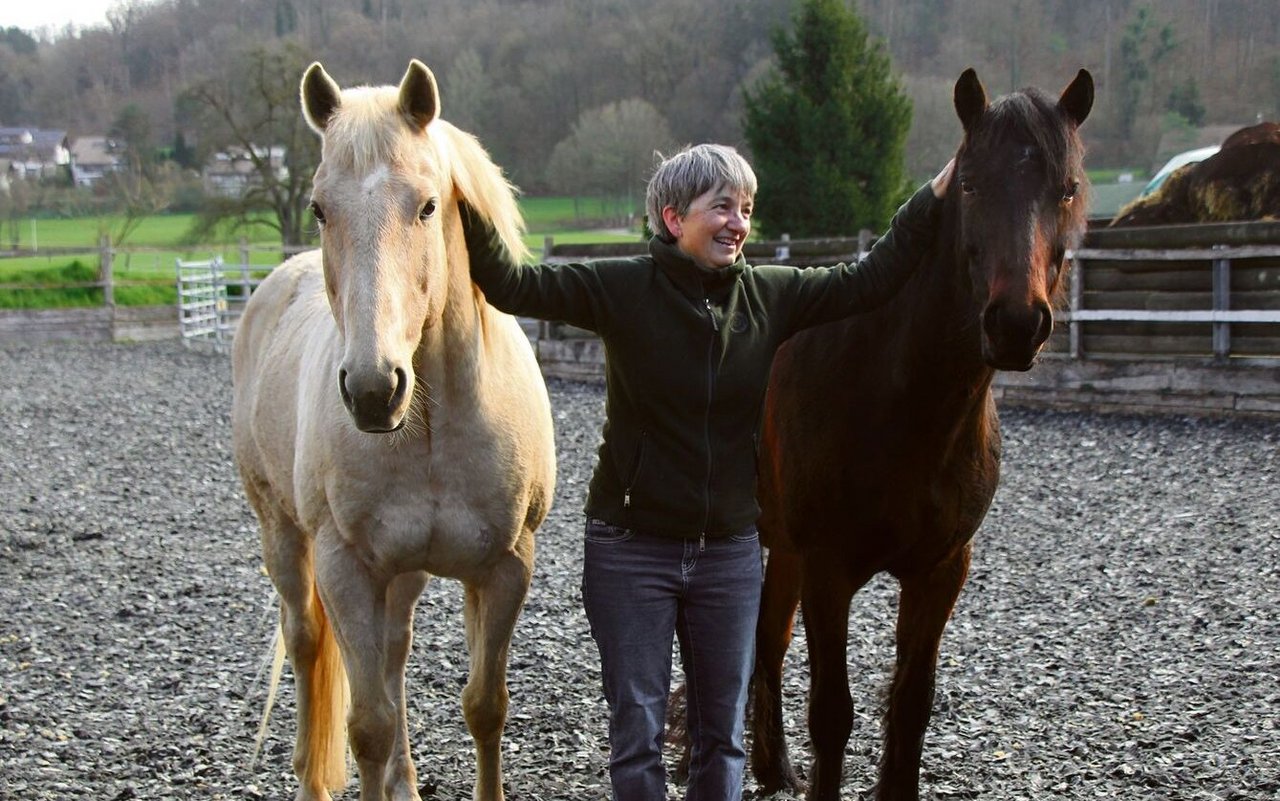 Drei, die sich verstehen: Die Verhaltenstierärztin Ruth Herrmann und ihre beiden Pferde während der Freiheitsdressur. 
