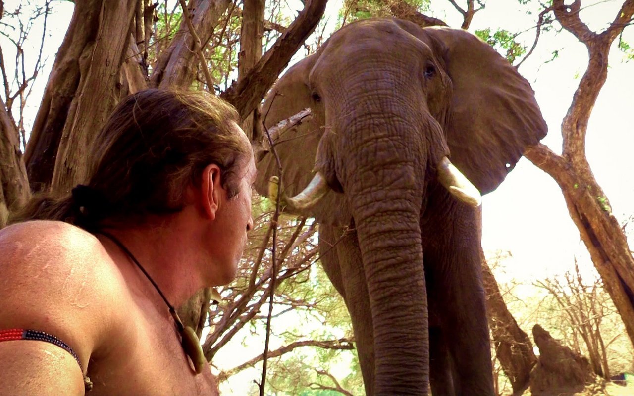 Richard Gress begegnet dem Elefantenbullen «Cliff».