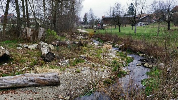 Um Gemeinden bei der Revitalisierungen zu unterstützen, hat Aqua Viva das Projekt «Lebendiger Dorfbach» ins Leben gerufen.