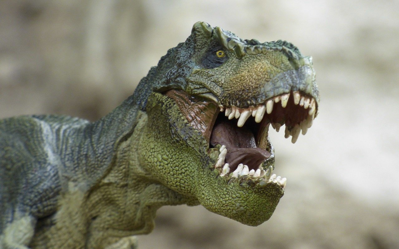 Den Tyrannosaurus und den Stegosaurus trennen über 70 Millionen Jahre.