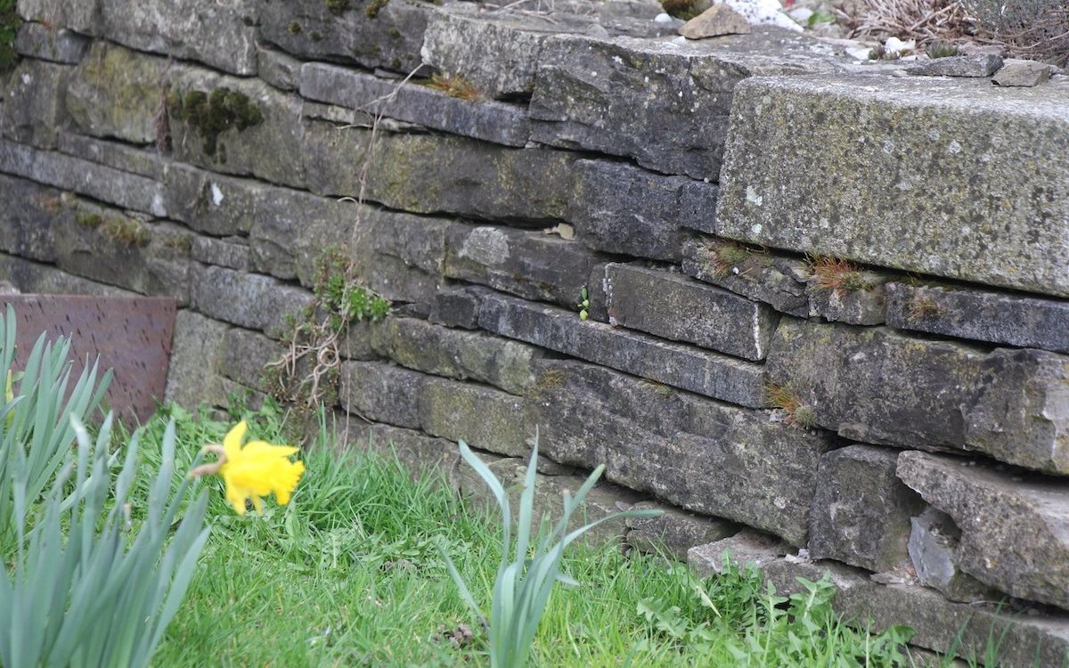 Durch den Landschaftsgärtner gestaltete Steinmauer. 