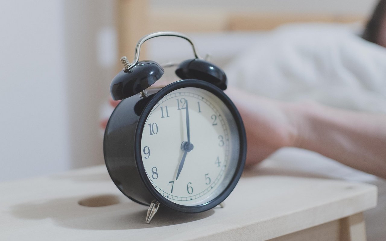 Manche Tiere sind wahre Frühaufsteher. 