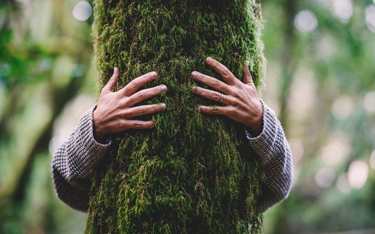 Wer die Natur bewusst mit allen Sinnen wahrnimmt, entspannt und entschleunigt.