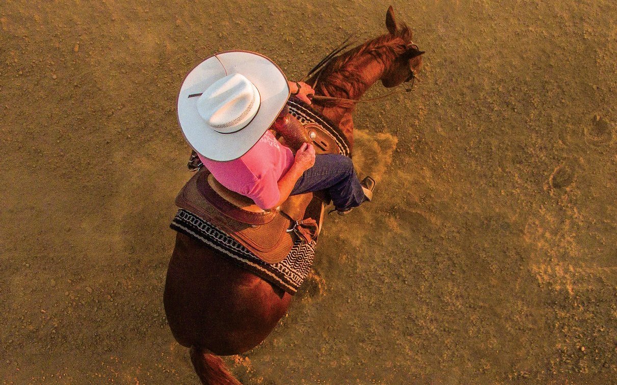 Sie sind wendig und die Westernpferde schlechthin. 