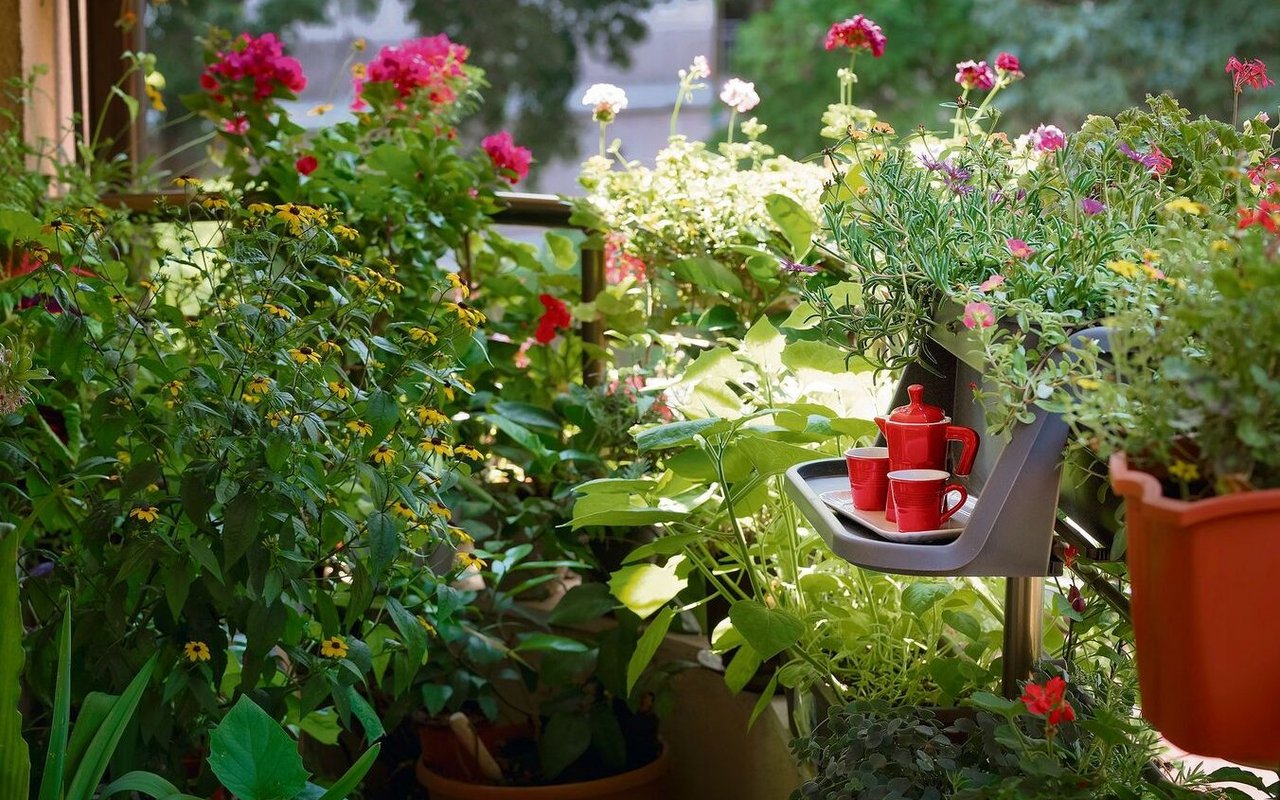 Die goldene Regel lautet: Ein möglichst langes, vielfältiges Blühangebot schaffen.