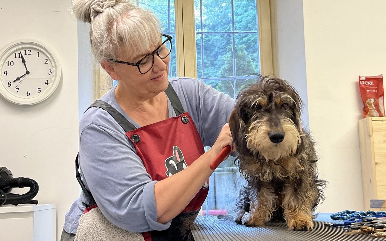 Frieda fühlte sich sofort wohl auf dem Trimmtisch.