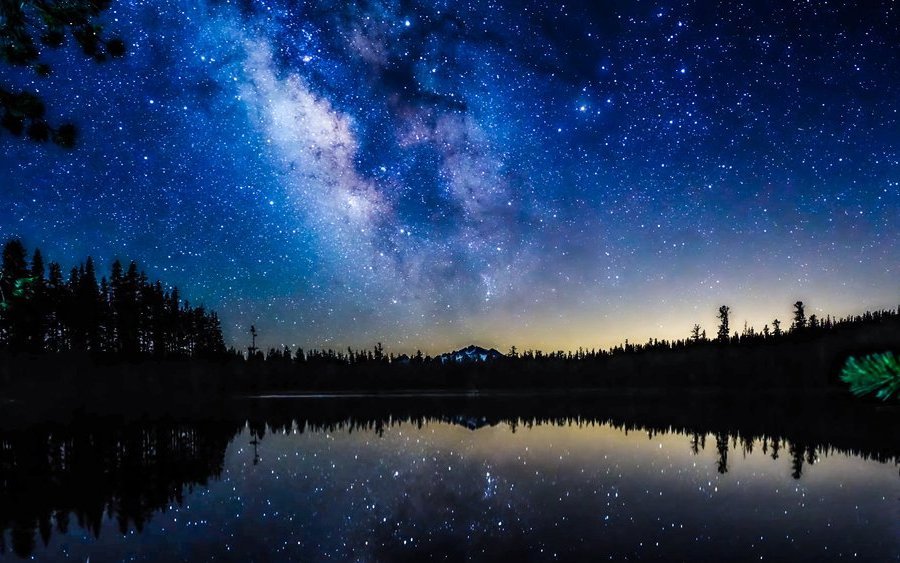 Schwimmen im See bei Nacht - ein unvergessliches Erlebnis für die Biologin.