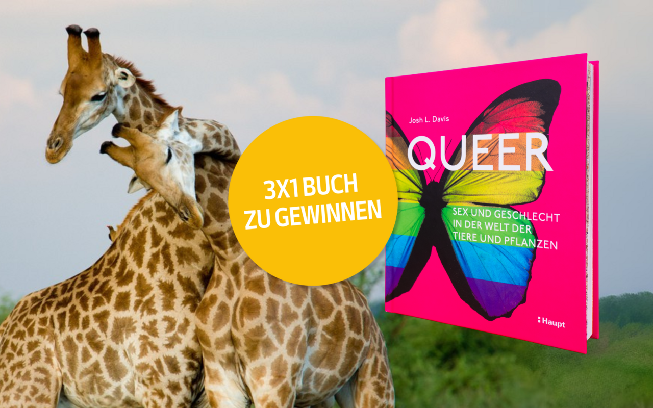Die TierWelt verlost 3 Exemplare vom Buch «Queer» von Josh L Davis.