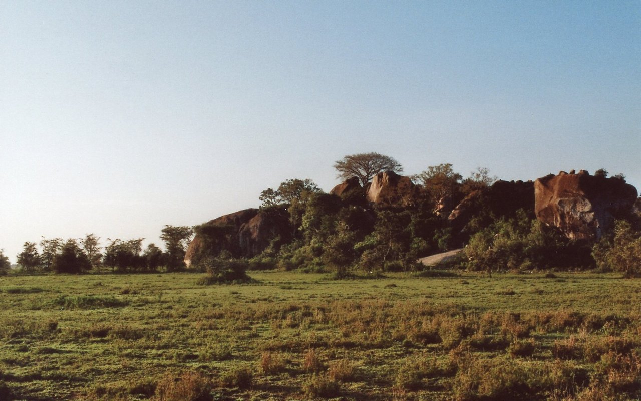 Inmitten der weiten Savanne der Serengeti in Tansania gibt es immer wieder so genannte Kopjes. Es handelt sich um Ansammlungen von Granitfelsen mit Vegetation darum herum. Dort tummeln sich meist auch Busch- und Klippschliefer. 