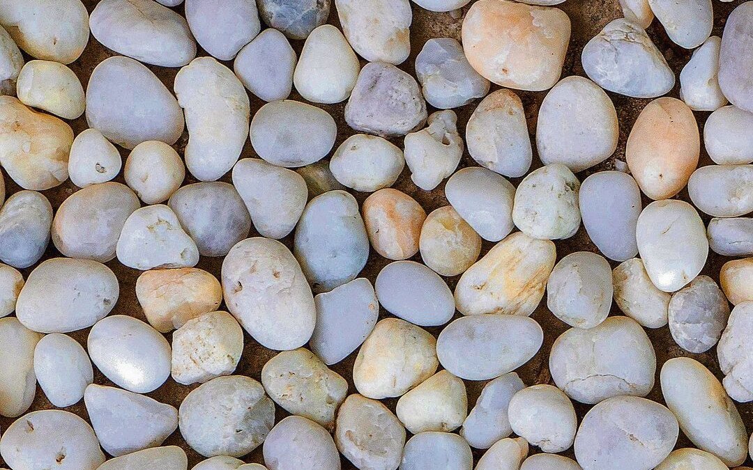 Kieselsteinchen verhindern, dass die Wurzeln der Pflanzen faulen.
