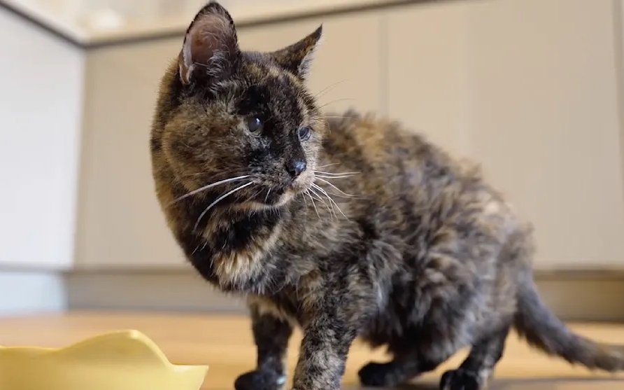 Flossie ist stolze 30 Jahre alt: Sie wurde am 29. Dezember 1995 geboren.