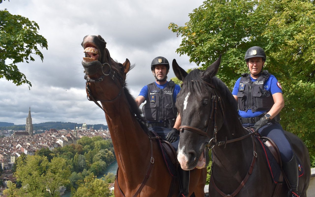 Remo Jaggi und Stefanie Huber mit «Dreamdancer» und «Look at me» im Rosengarten.