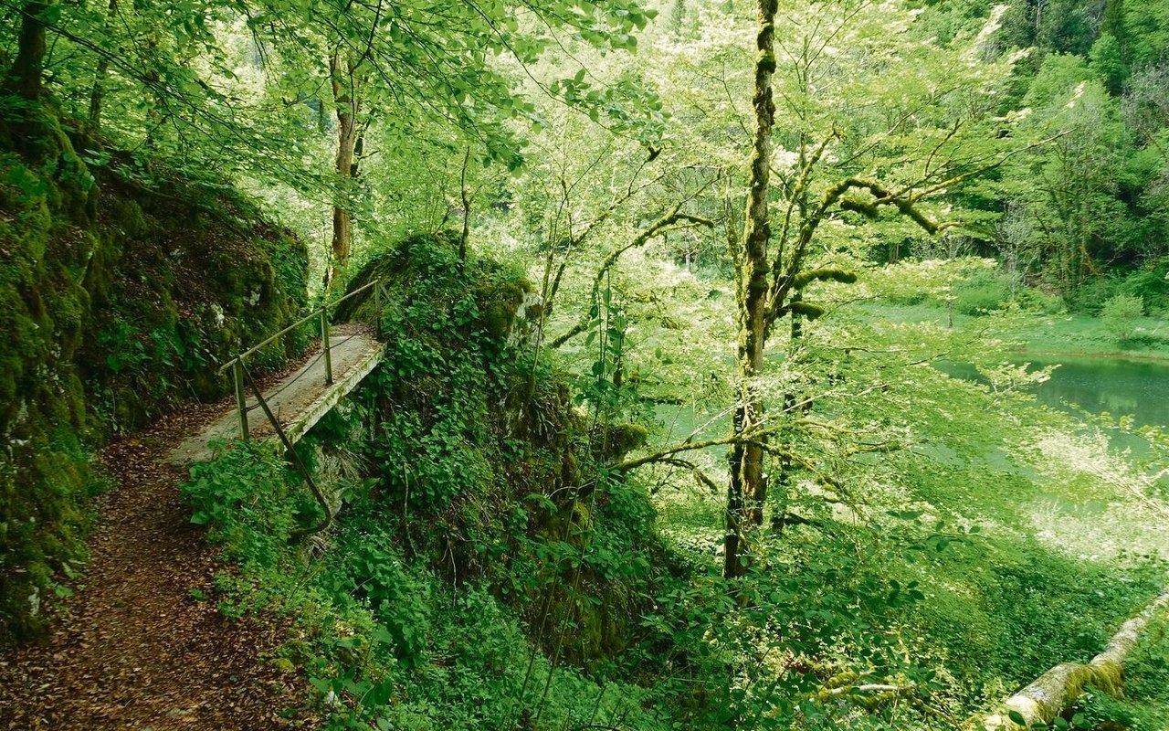 Die Wanderung führt tief in den Jura bis ins Tal des Doubs. Auf der anderen Flussseite liegt Frankreich.
