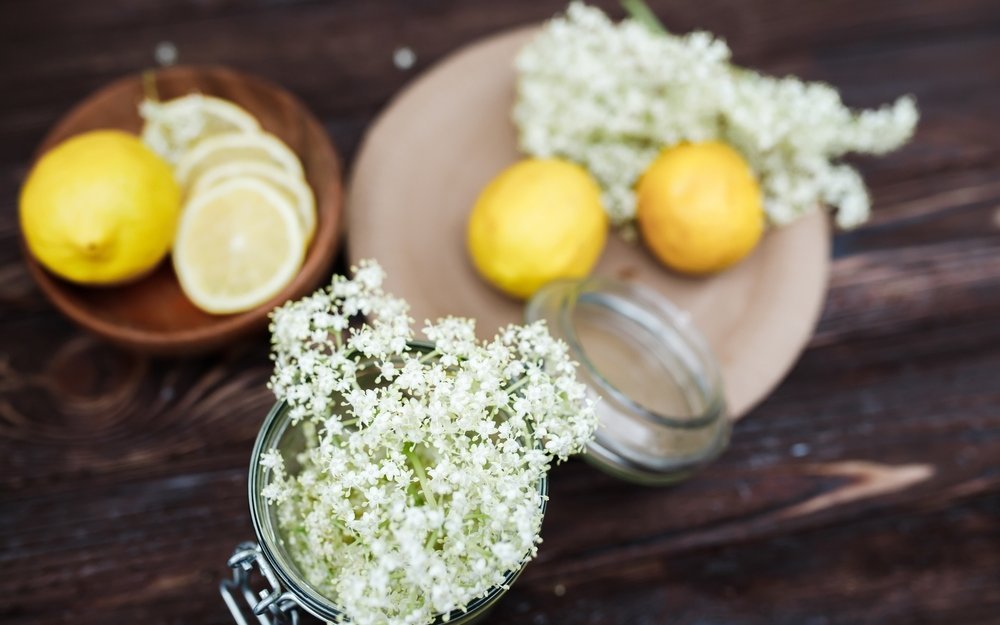 Die duftenden Blüten des Holunderbaums sind im Mai sowie Juni reif und werden oft für die Herstellung von Tee und Sirup verwendet. 
