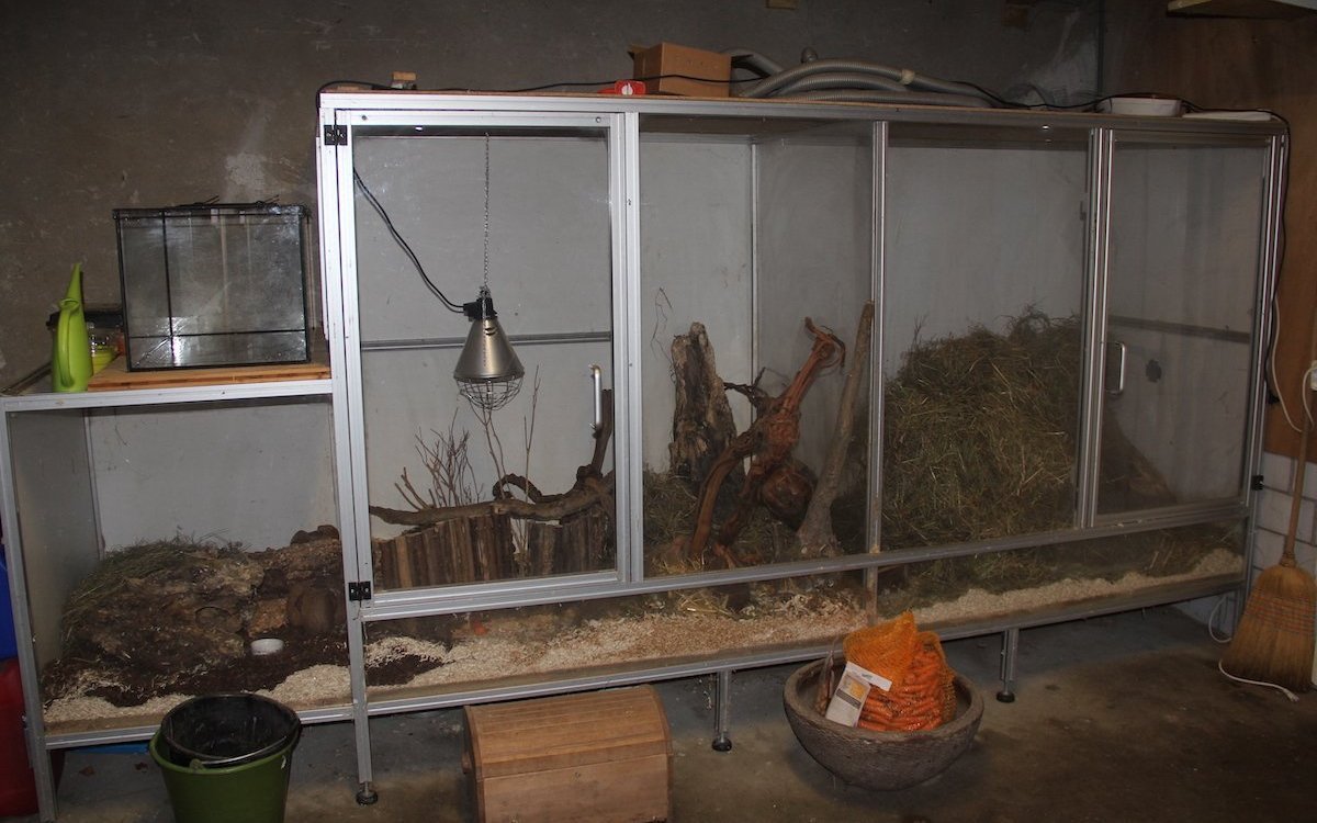 Das individuell hergestellte Gehege zur Haltung von Farbmäusen bietet den Tieren mehr Platz und dem Halter bessere Gestaltungsmöglichkeiten.
 