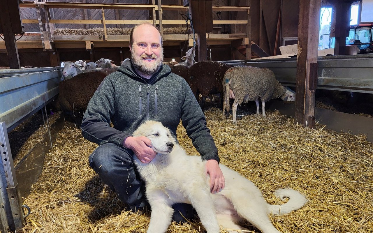 Bruno Zähner liebt sowohl die Arbeit mit seinen Schafen als auch mit den Hunden.