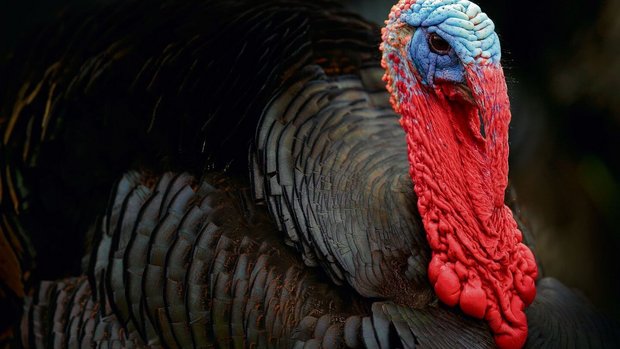 Bildlegende hauptbild