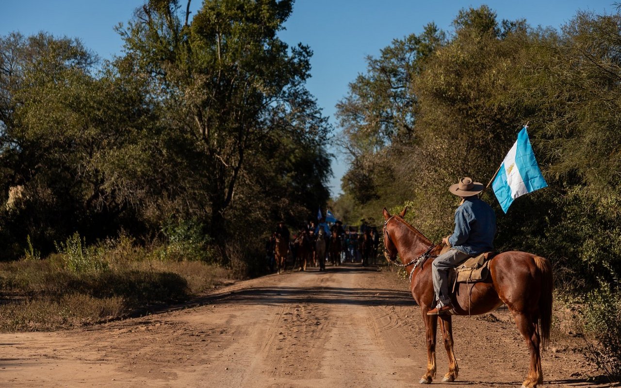 Criollos sind die Nationalpferde Argentiniens. 
