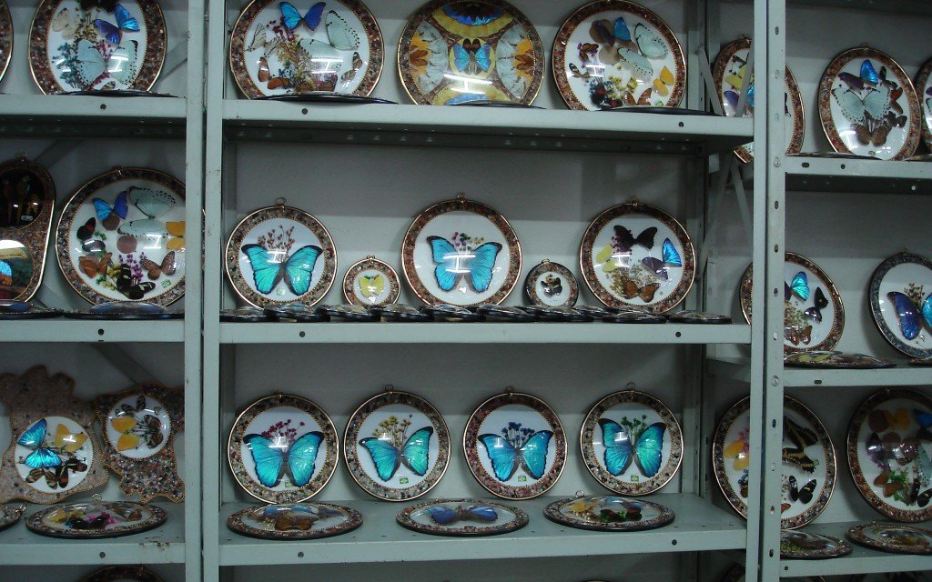 Der Handel mit Souvenirs von bedrohten Arten gefährdet die Artenvielfalt.