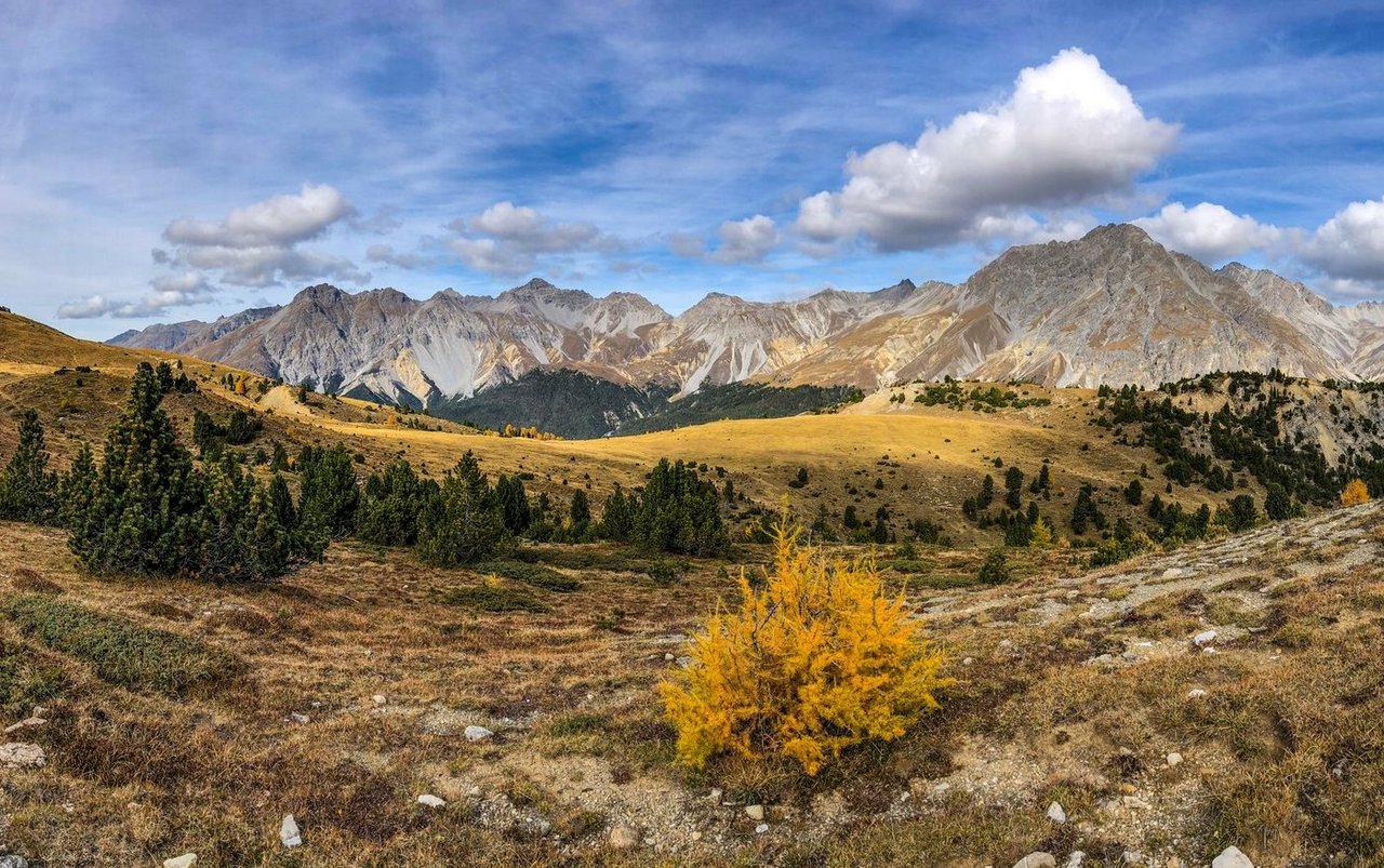 Der Naturpark mit den höchsten Schutzbestimmungen ist der Schweizer Nationalpark. In diesem soll sich die Natur frei entwickeln können. 