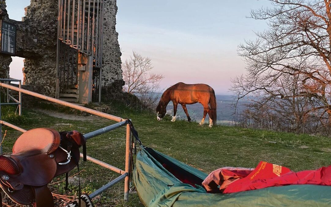 Ohne Zaumzeug geniesst Milan den mehrtägigen Ausflug.