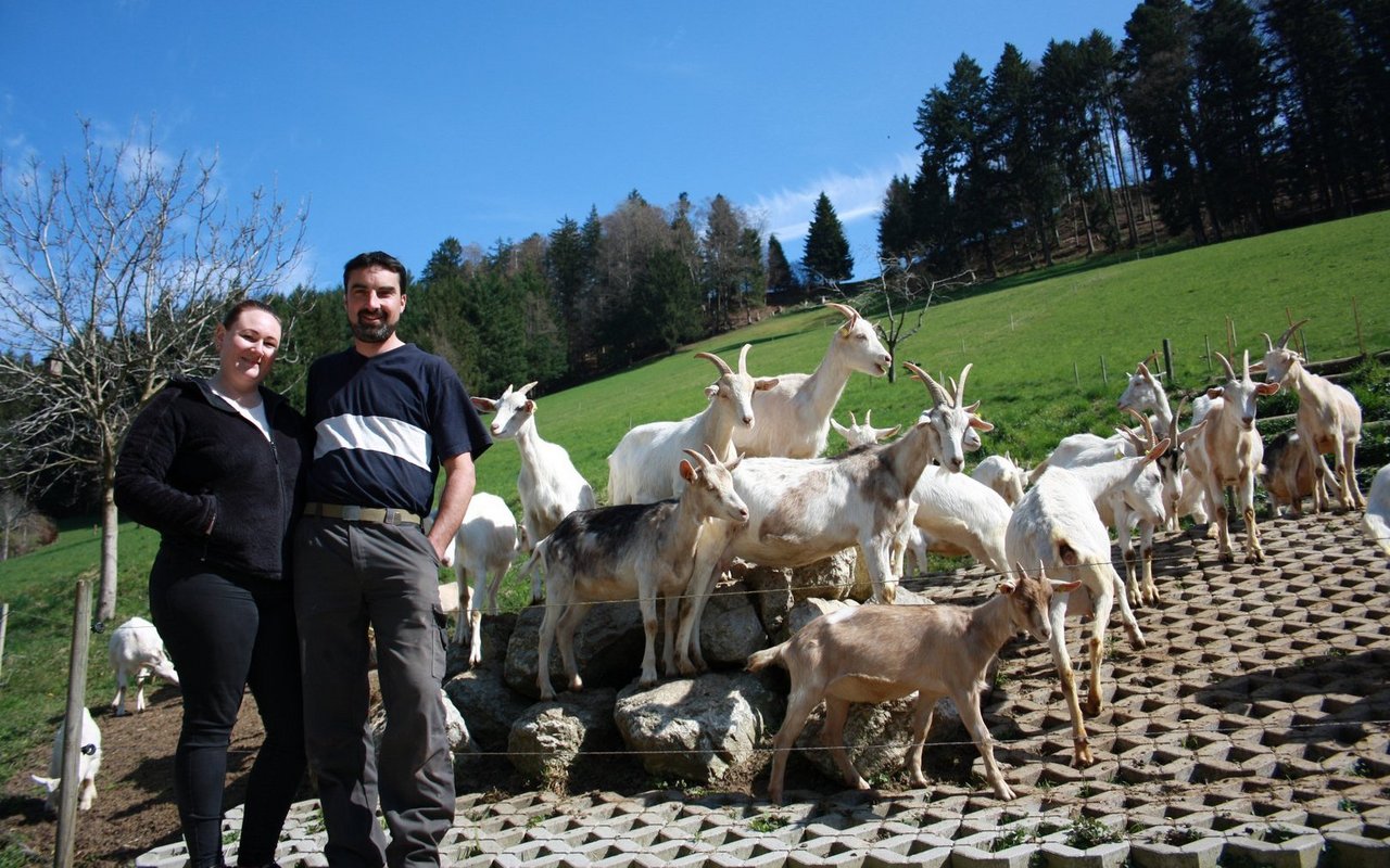 Annemarie und Andreas Brönnimann arbeiten hart, um die vielen Investitionen finanzieren zu können.
