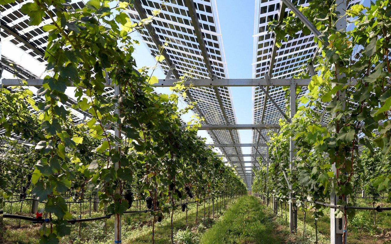 Photovoltaik produziert nicht nur Strom, sondern schützt auch vor extremer Witterung.