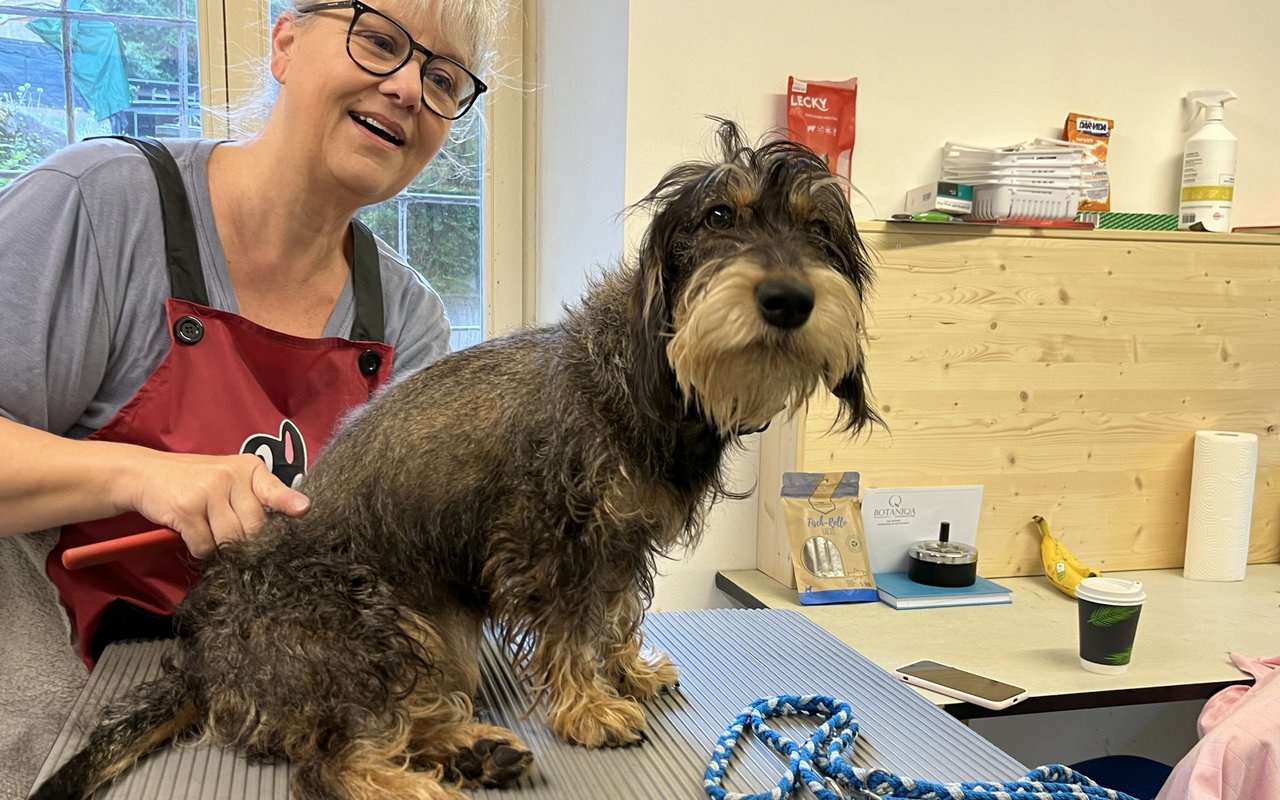 Von Stress keine Spur - der Coiffeurbesuch scheint einem Wellnessbesuch sehr zu ähneln.