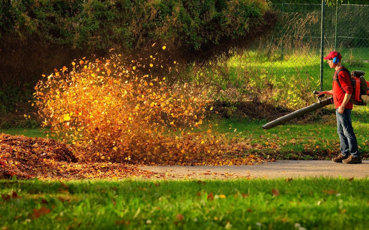 Laubbläser sind nicht nur für Tier und Natur problematisch, sondern können auch für den Menschen problematisch werden. Auch Privatpersonen sollten unbedingt eine Schutzbrille und Ohren- und Mundschutz tragen.