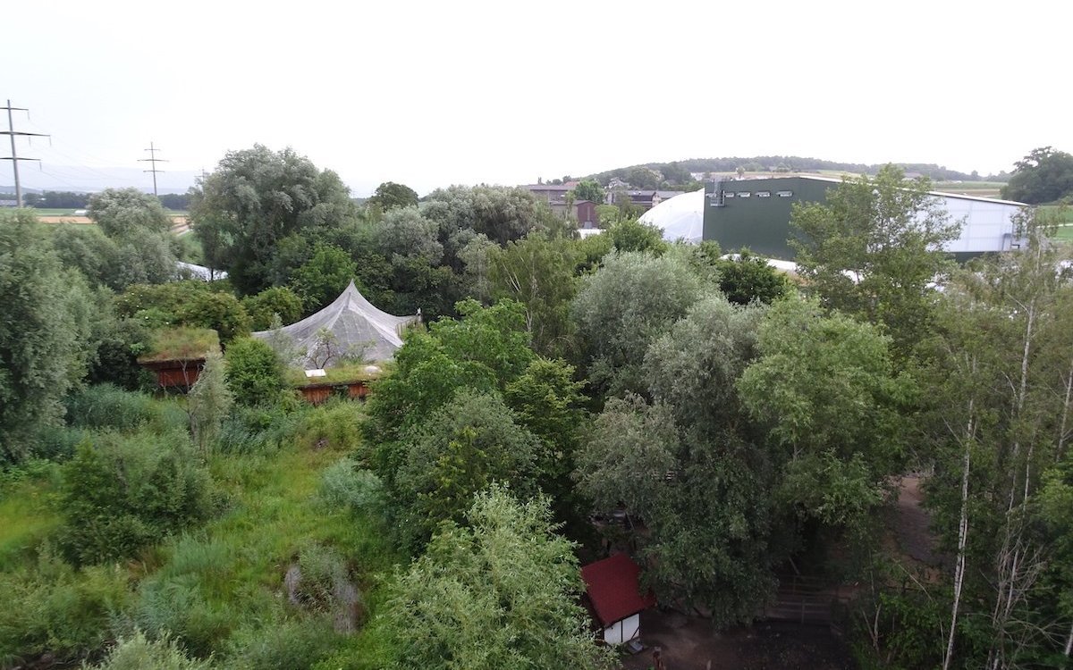 Die Sicht vom Turm zeigt, wie vielfältig die Fläche des Papilioramas ist. 