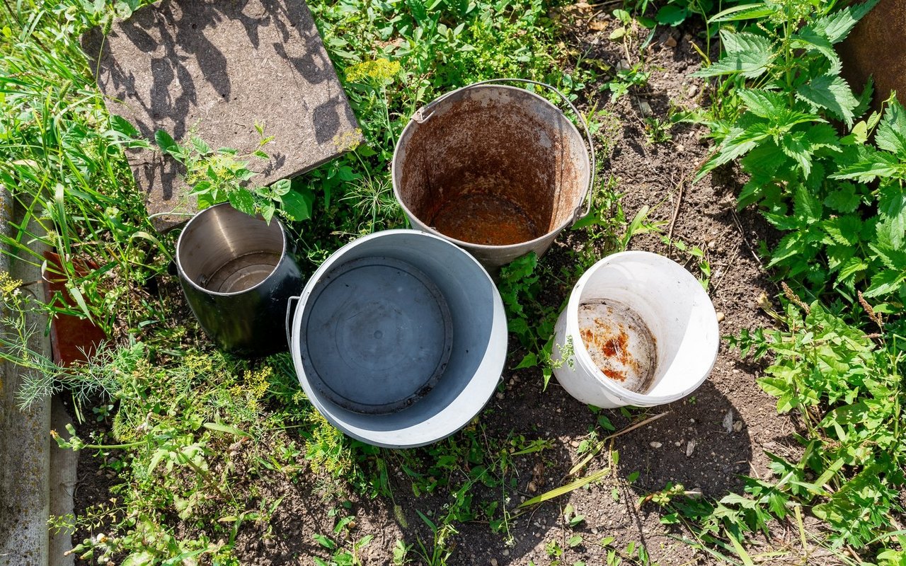 Herumstehende Eimer können für Wildtiere zur tödlichen Gefahr werden. 