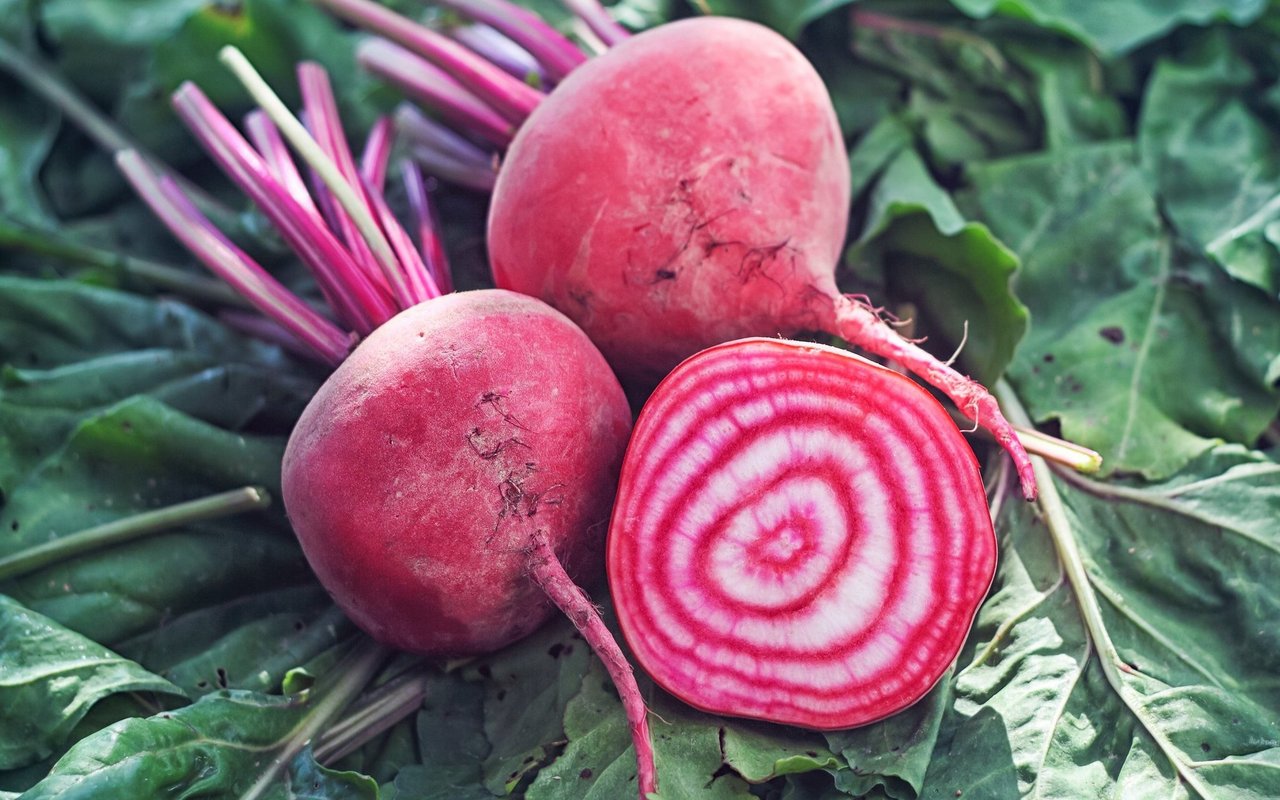 Das einzigartige Muster der Chioggia Randa macht sie ideal als Carpaccio.